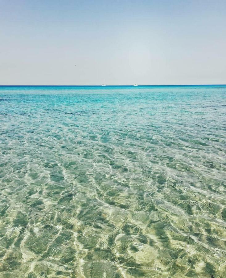 Maracaibo Holiday Flat 노토 외부 사진